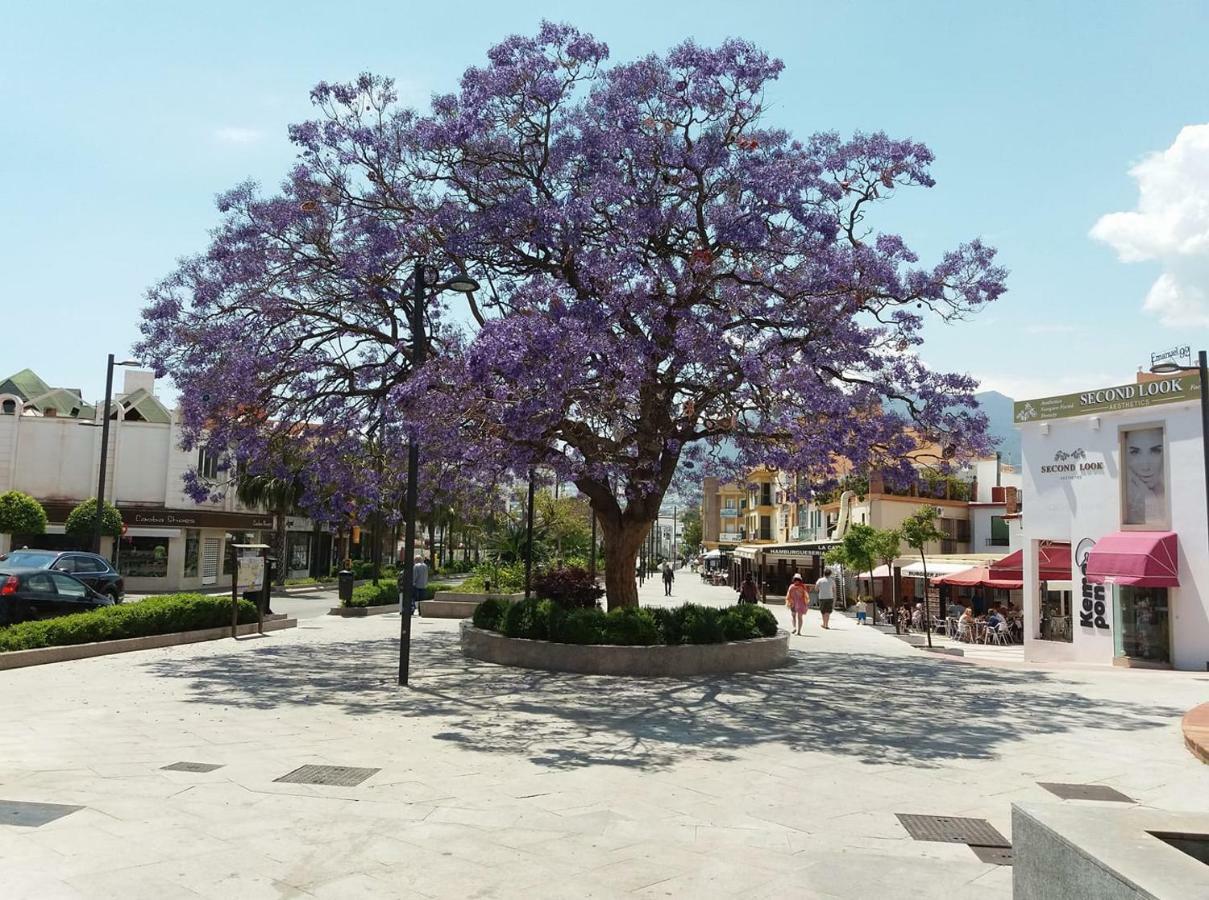 Alegranza Διαμέρισμα Benalmádena Εξωτερικό φωτογραφία